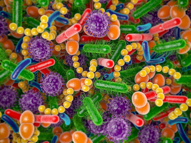 Conceptual illustration of human microbiome microbes. The microbiome is the collection of microbes f...