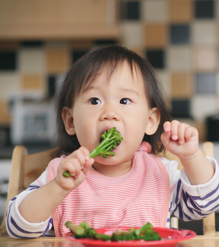Baby Led Weaning A Comprehensive Guide To Introducing Solids baby-led-weaning-a-comprehensive-guide-to-introducing-solids