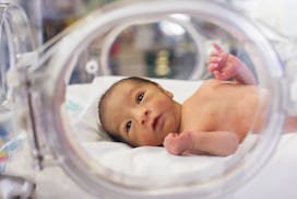 A premature baby lying in an incubator at the NICU.