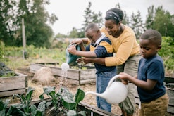 A mother with two boys helps them water their garden boxes while growing fall vegetables at home.