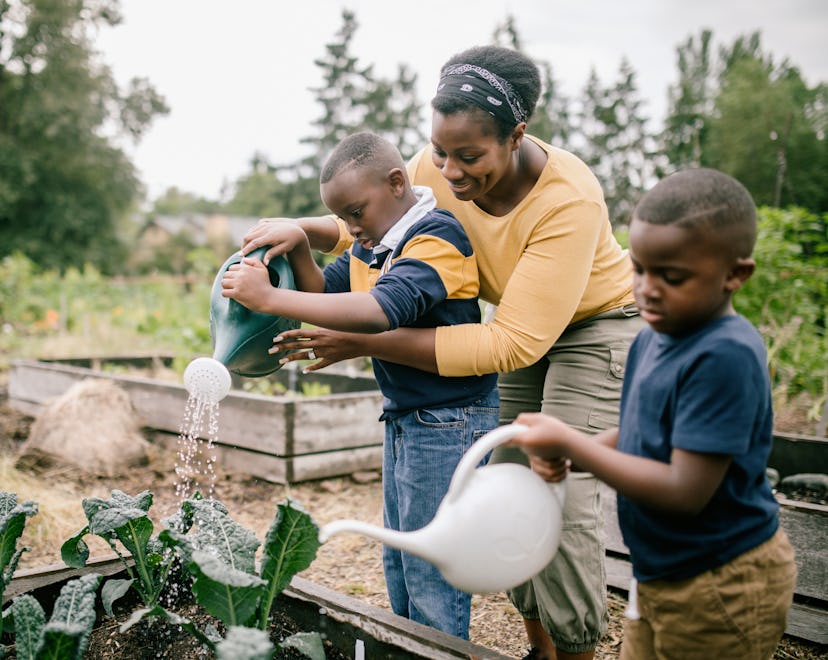 A mother with two boys helps them water their garden boxes while growing fall vegetables at home.