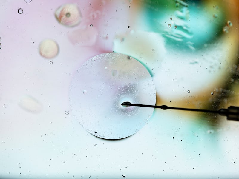 cell study and laboratory experimentation. injecting cell with needle through microscope.