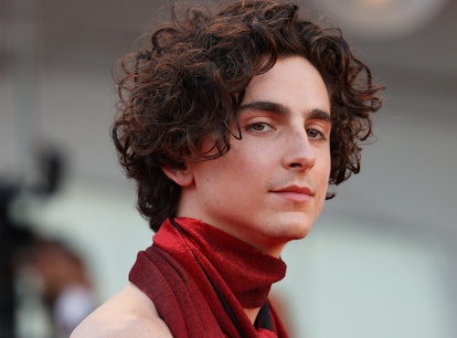 VENICE, ITALY - SEPTEMBER 02:  Timothee Chalamet attends the "Bones And All" red carpet at the 79th ...