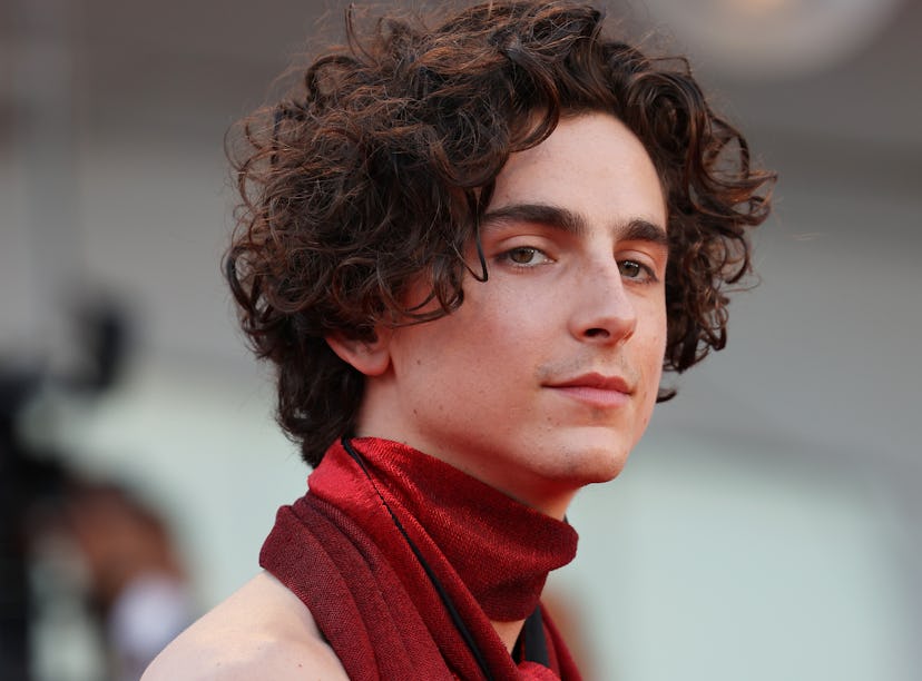 VENICE, ITALY - SEPTEMBER 02:  Timothee Chalamet attends the "Bones And All" red carpet at the 79th ...