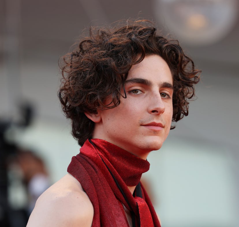 VENICE, ITALY - SEPTEMBER 02: Timothee Chalamet attends the "Bones And All" red carpet at the 79th ...