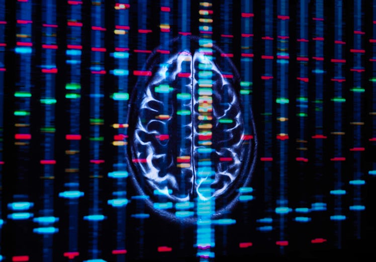 Genetic research, conceptual image. DNA (deoxyribonucleic acid) profile and a brain scan