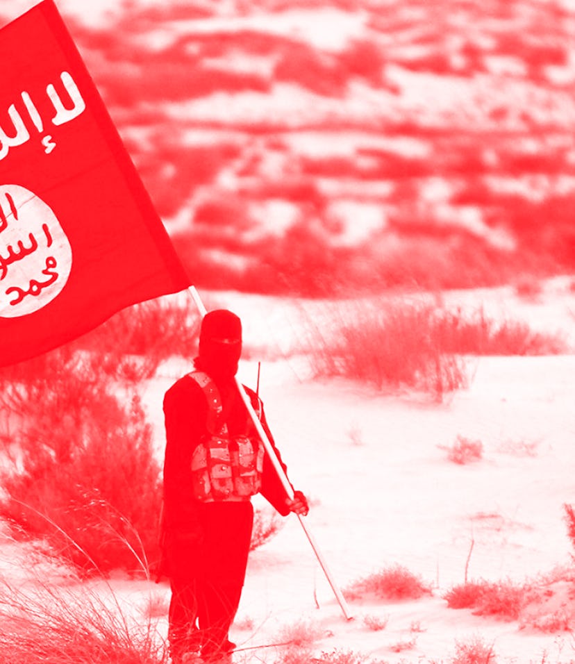 Islamic State/Iraq/Syria: A masked Islamic State soldier poses holding the ISIL banner somewhere in ...