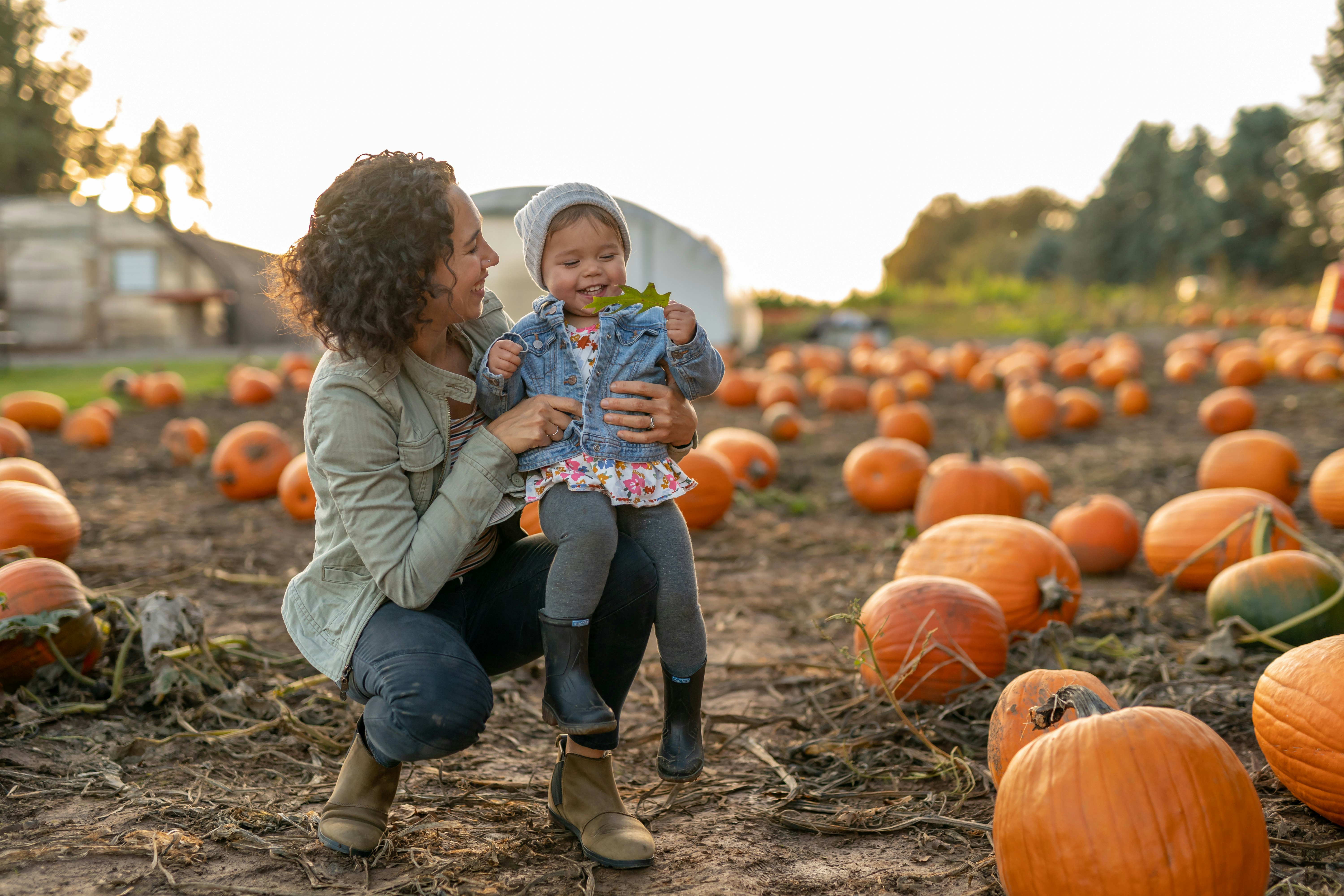 funny pumpkin patch sayings