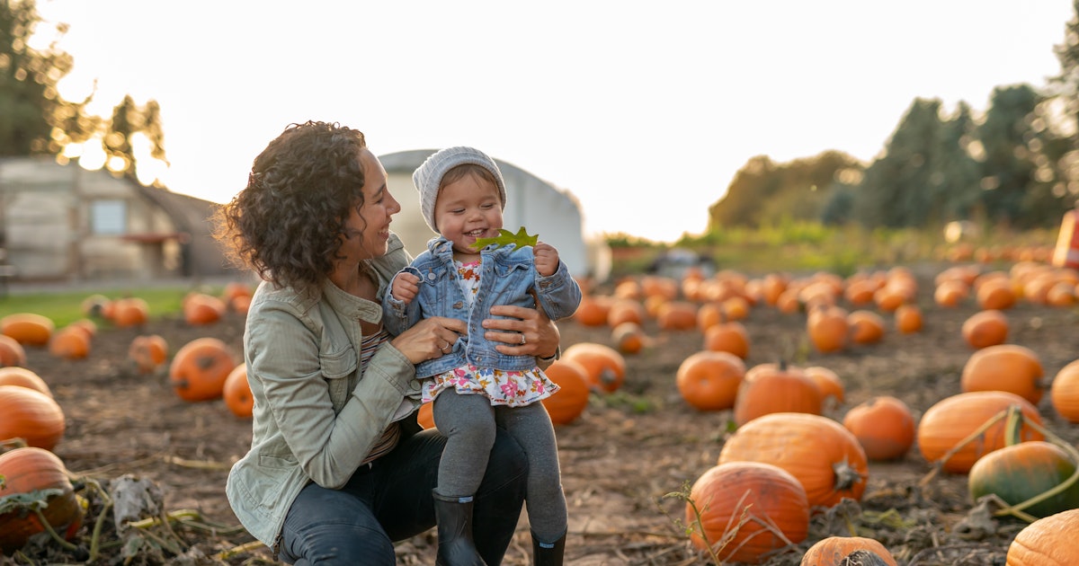 45 Pumpkin Patch Instagram Captions For All Your ...