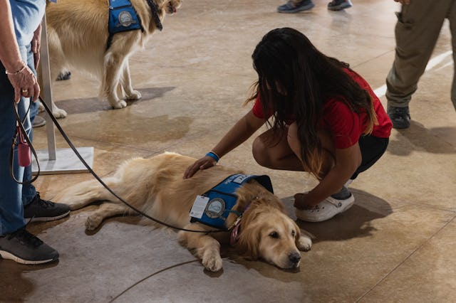 A young girl pets a comfort dog at a vigil for the 21 people killed at Robb Elementary School.