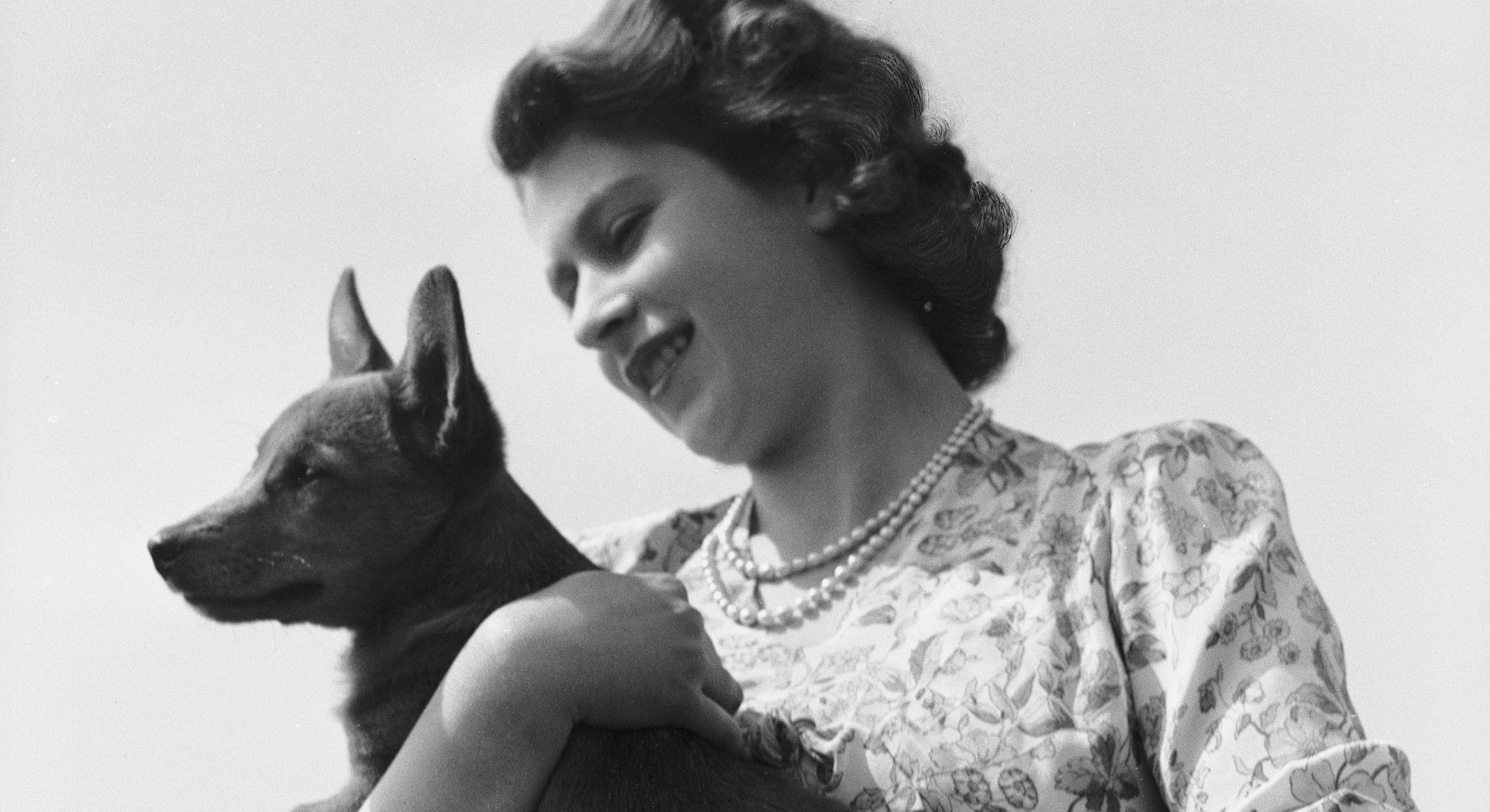 17 Photos Of Queen Elizabeth II With Her Dogs When She Was A Kid & During Her Reign