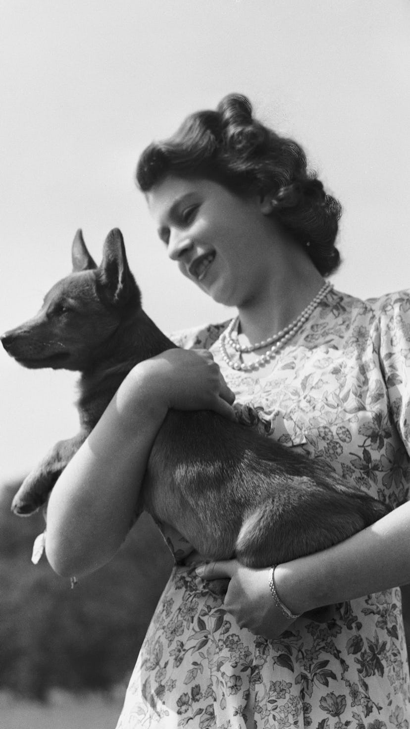 17 Photos Of Queen Elizabeth II With Her Dogs When She Was A Kid & During Her Reign