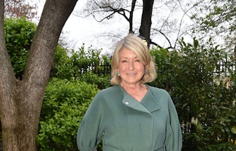 NEW YORK, NEW YORK - APRIL 25: Martha Stewart attends Olmsted Bicentennial Gala "Parks For All Peopl...
