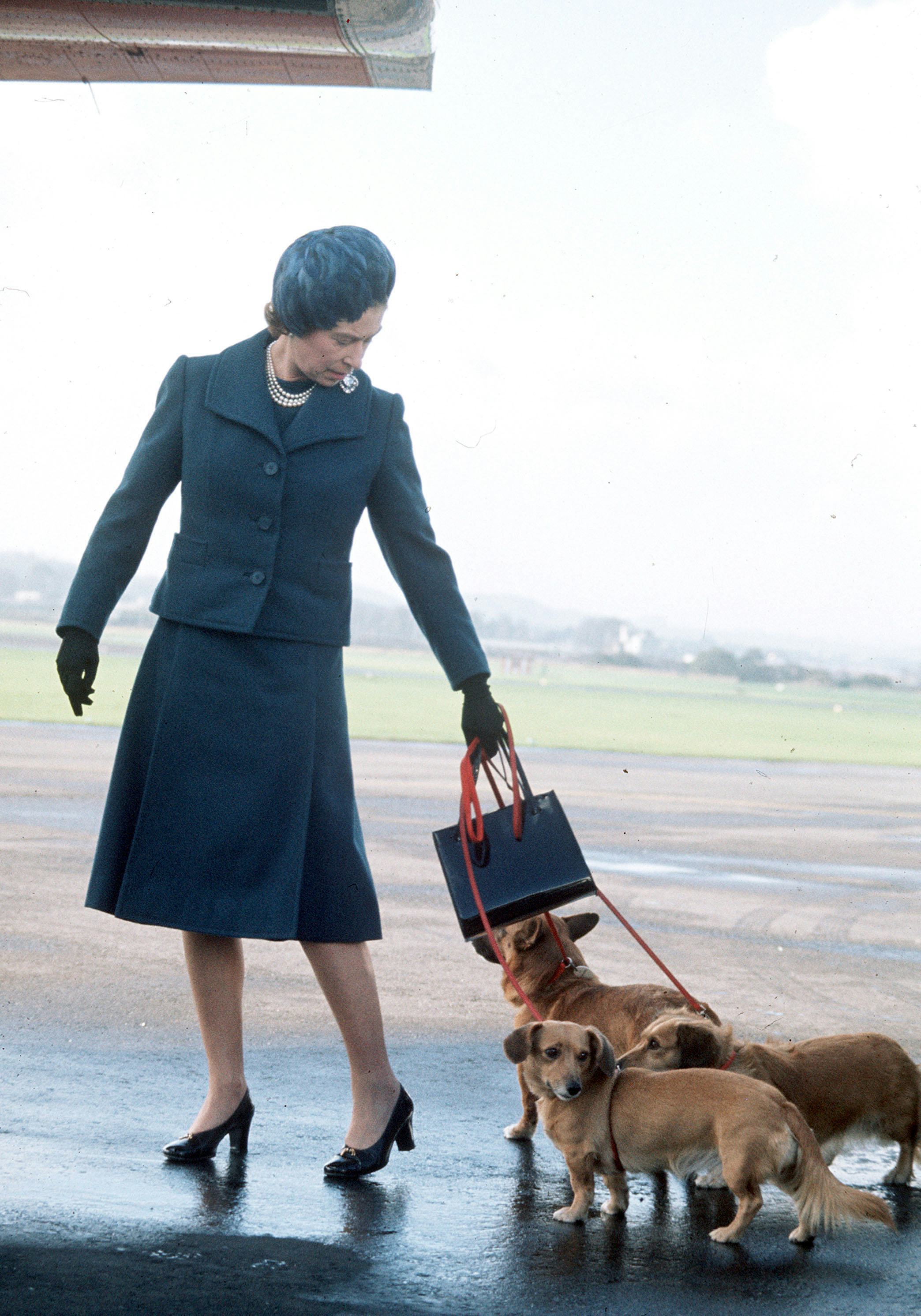 17 Photos Of Queen Elizabeth II With Her Dogs When She Was A Kid