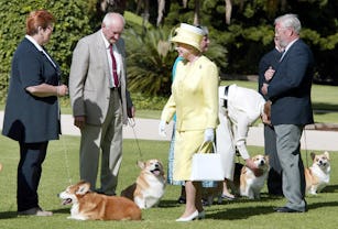 Queen Elizabeth II (C) meets members of the Adelaide Hills Kennel Club and their corgis at Governmen...