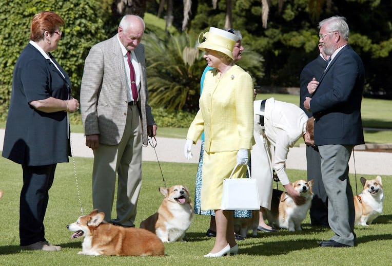 Queen Elizabeth II (C) meets members of the Adelaide Hills Kennel Club and their corgis at Governmen...