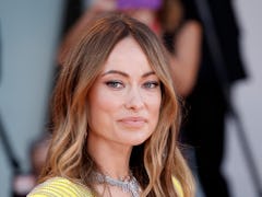 Olivia Wilde addressed the rumors that she left Jason Sudeikis for Harry Styles.