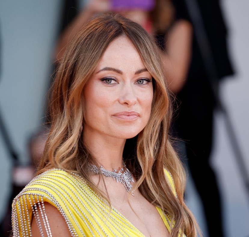 Olivia Wilde addressed the rumors that she left Jason Sudeikis for Harry Styles.