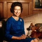 Queen Elizabeth II left behind at least four dogs— two of which are her famed Corgis.