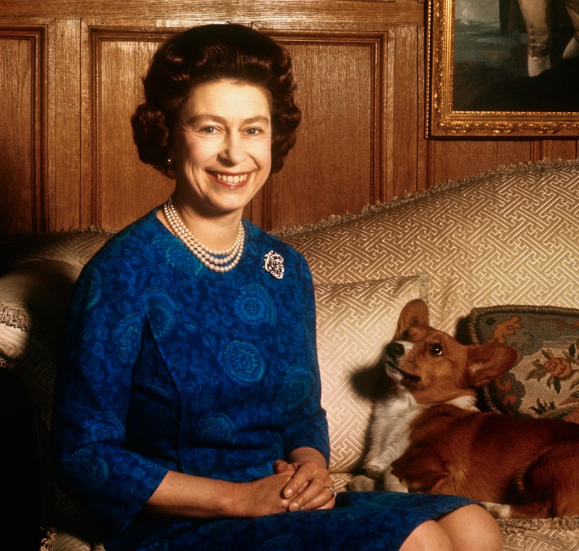 Queen Elizabeth II left behind at least four dogs— two of which are her famed Corgis.