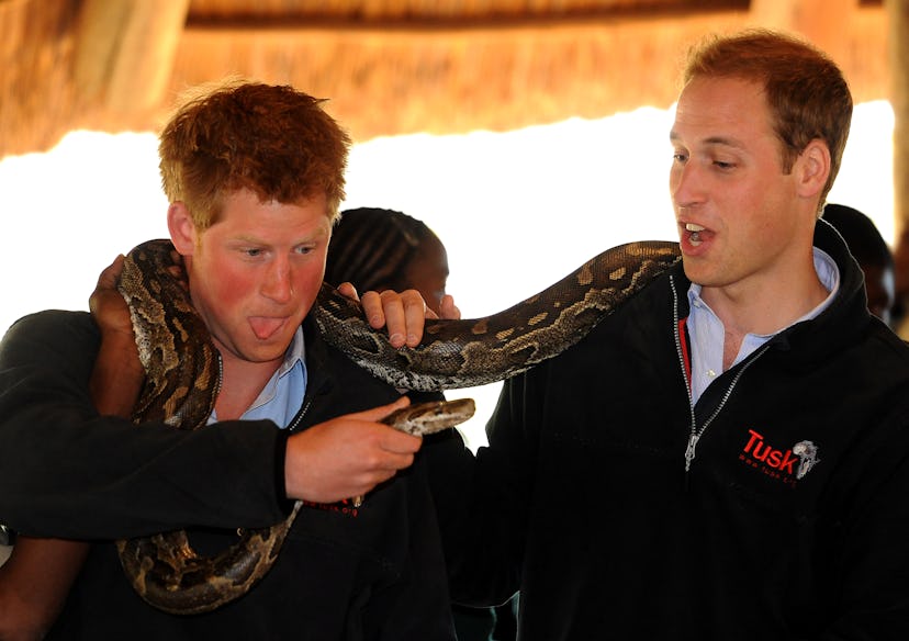 Prince Harry and Prince William pose with a snake.