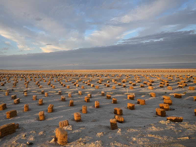 SALTON CITY, CALIFORNIA - DECEMBER 29: The Salton Sea Management Program along with the U.S. Bureau ...