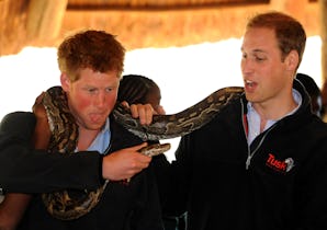 Prince Harry and Prince William hold a rock python during a visit to the Mokoldi Nature reserve near...