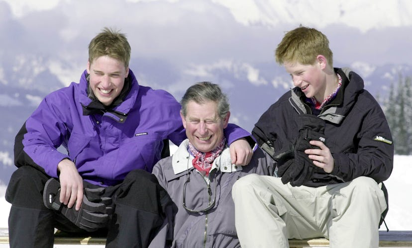 Prince Harry and Prince William laugh with their dad.
