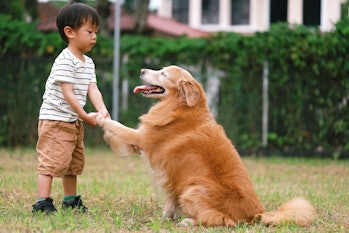 Retrato de un joven asiático estrechando la mano de su perro en el parque
