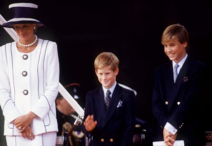 Princess Diana, Harry, and William in 1995.