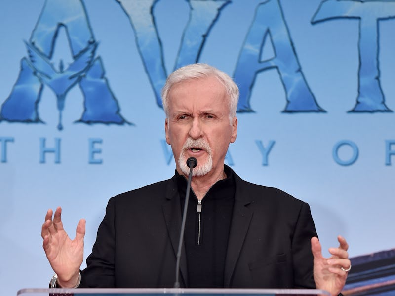 HOLLYWOOD, CALIFORNIA - JANUARY 12: James Cameron speaks onstage at the handprints and footprints ce...