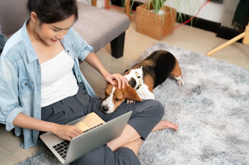 High view of young Asian woman working freelance using laptop connecting network for online working,...
