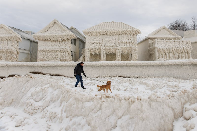 A person and dog walk by homes covered in ice at the waterfront community of Crystal Beach in Fort E...
