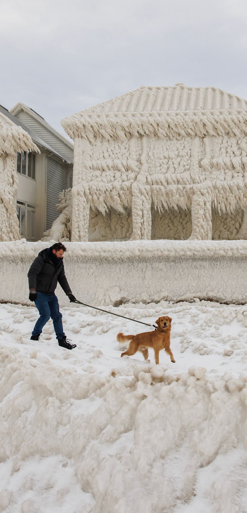 A person and dog walk by homes covered in ice at the waterfront community of Crystal Beach in Fort E...