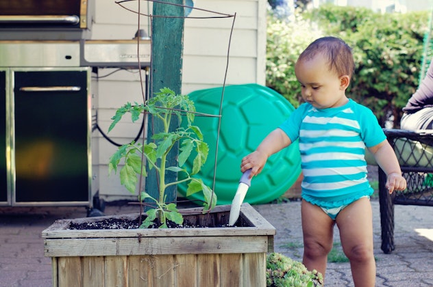 Young baby girl child wearing a bathing suit in a garden digs at tomato plant in planter with shovel...