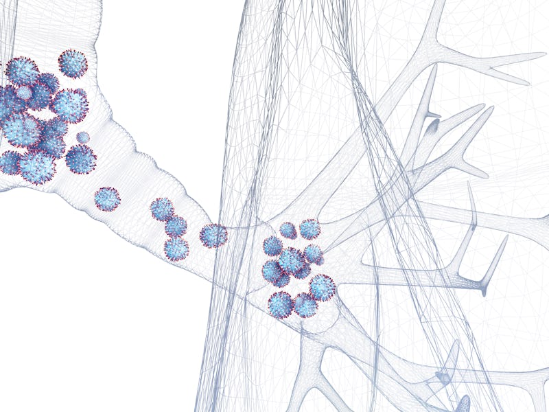 Respiratory syncytial virus (RSV) particles , 3d illustration. RSV causes respiratory infections