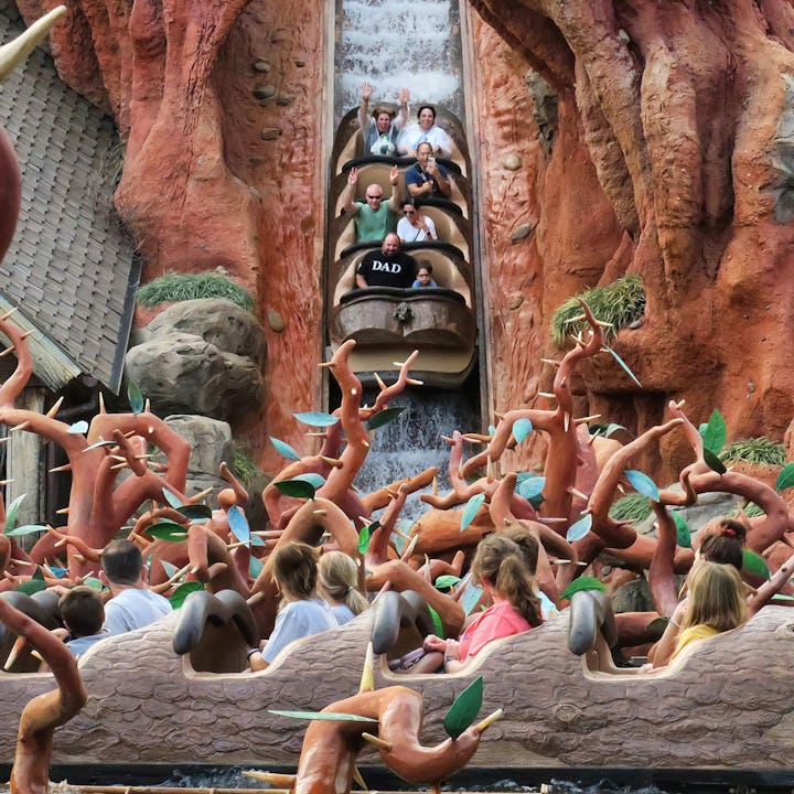 Guests on Splash Mountain at Disney World. The park just closed the classic ride, which is set to be...