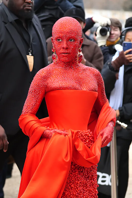 doja cat red dress Leopard-Print 2025 Oscars Strapless Mermaid doja cat's dress (vegas mv)