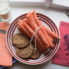 A little girl is DNA testing the cookies and carrots she left our for Santa and his reindeer.