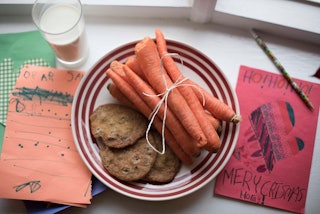 A little girl is DNA testing the cookies and carrots she left our for Santa and his reindeer.