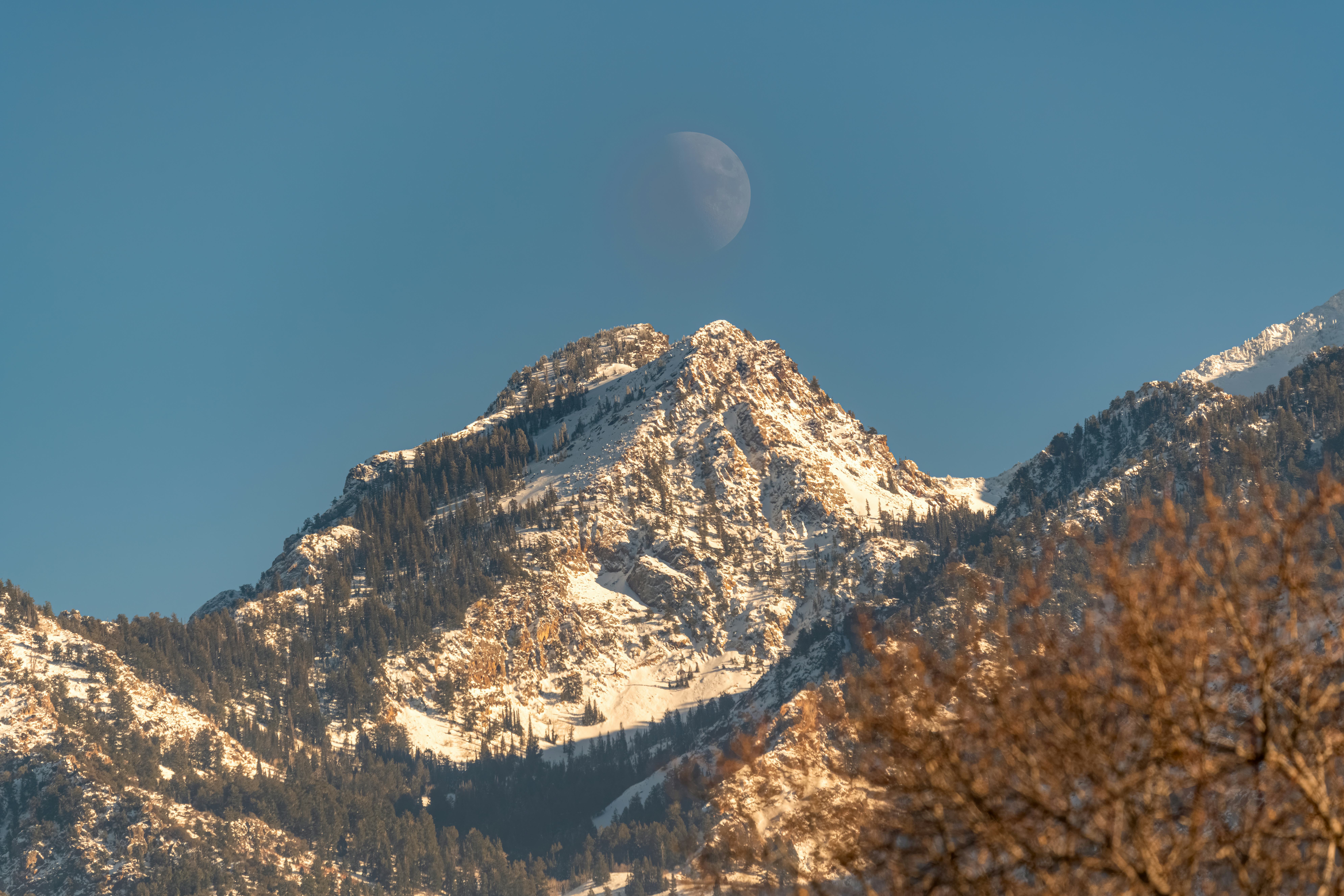 The February 2023 full snow moon arrives on Feb. 5 in self-assured Leo.