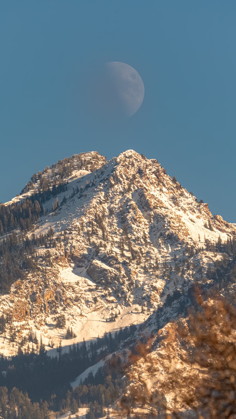 The February 2023 full snow moon arrives on Feb. 5 in self-assured Leo.
