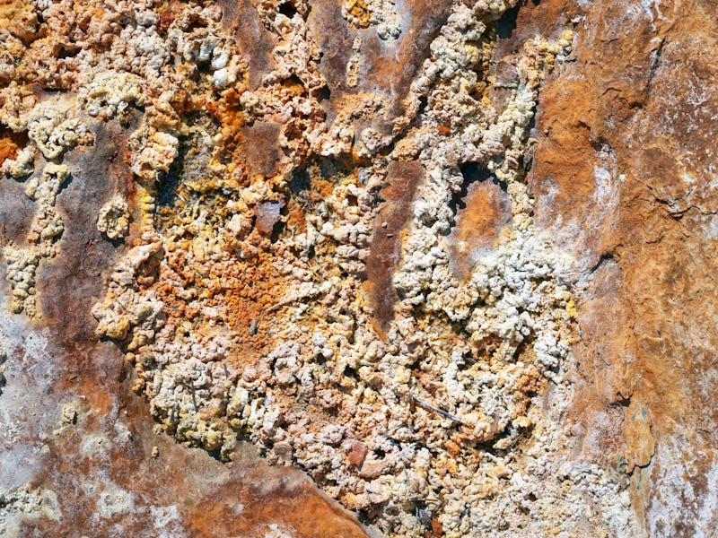 Macro detail photographs of the Tinto river (Huelva, Spain), whose place has been studied by NASA be...