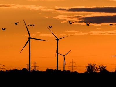 01 September 2022, Lower Saxony, Hanover: Birds fly at sunrise in front of wind turbines in the Hann...