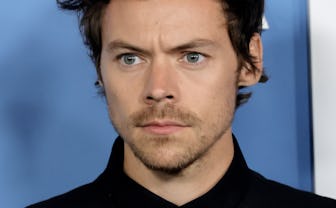 LOS ANGELES, CALIFORNIA - NOVEMBER 01: Harry Styles arrives at the Los Angeles premiere of "My Polic...