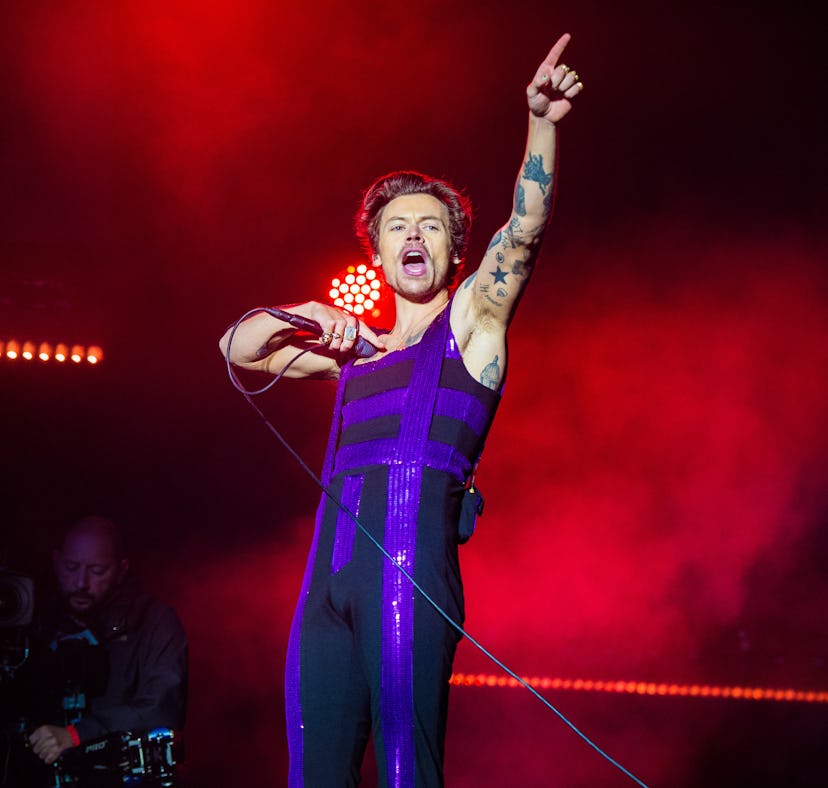 Check out these memes of Harry Styles ripping his pants on stage.