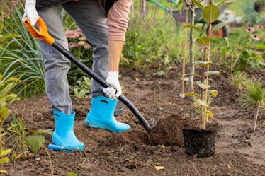 What are the best exercises according to science? 3 Strength Training