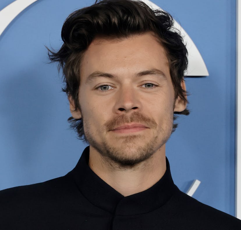 Harry Styles will perform at the 2023 Grammys.