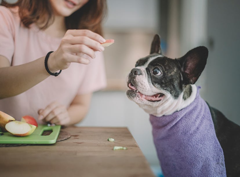 A woman gives her dog a snack while making a barkuterie board at home. 