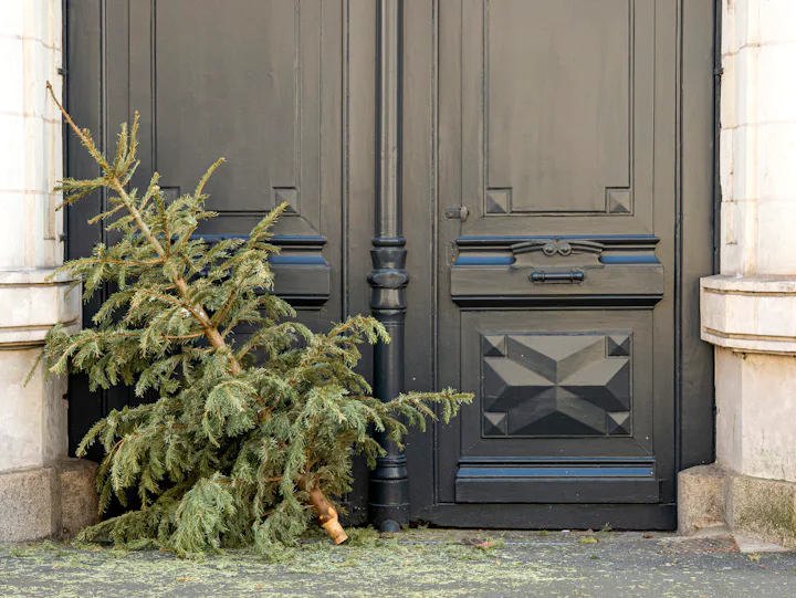 How to recycle artificial christmas tree